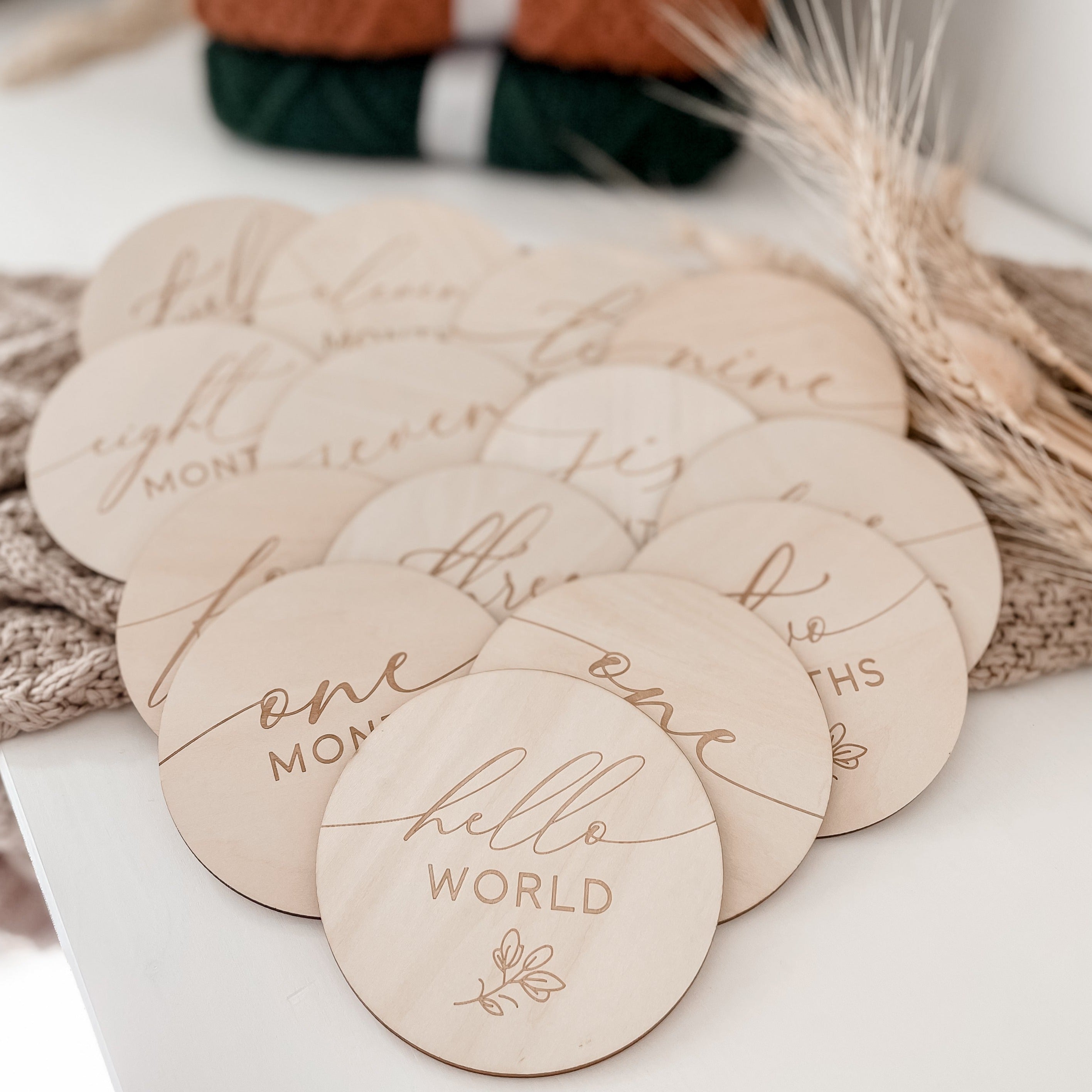 Wild Foliage Milestone Disk Set