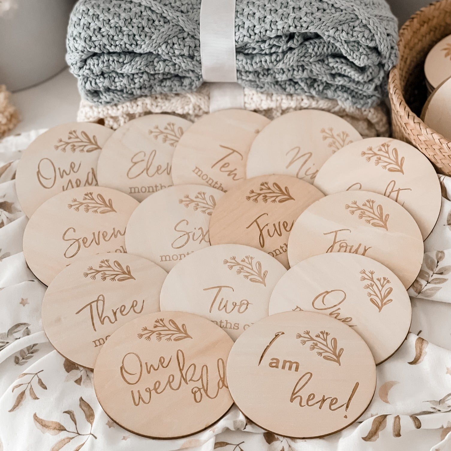 Whimsy Milestone Disk Set