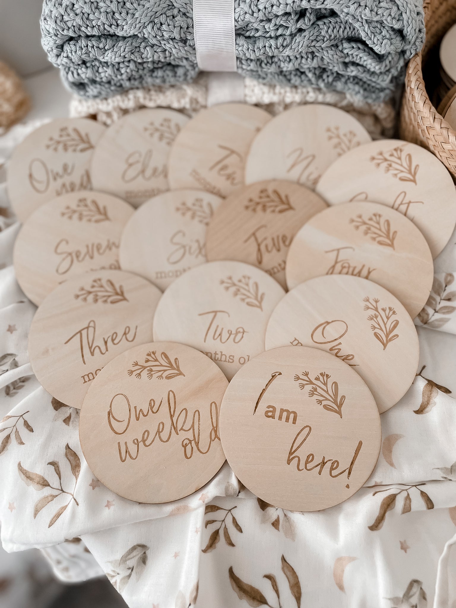 Whimsy Milestone Disk Set