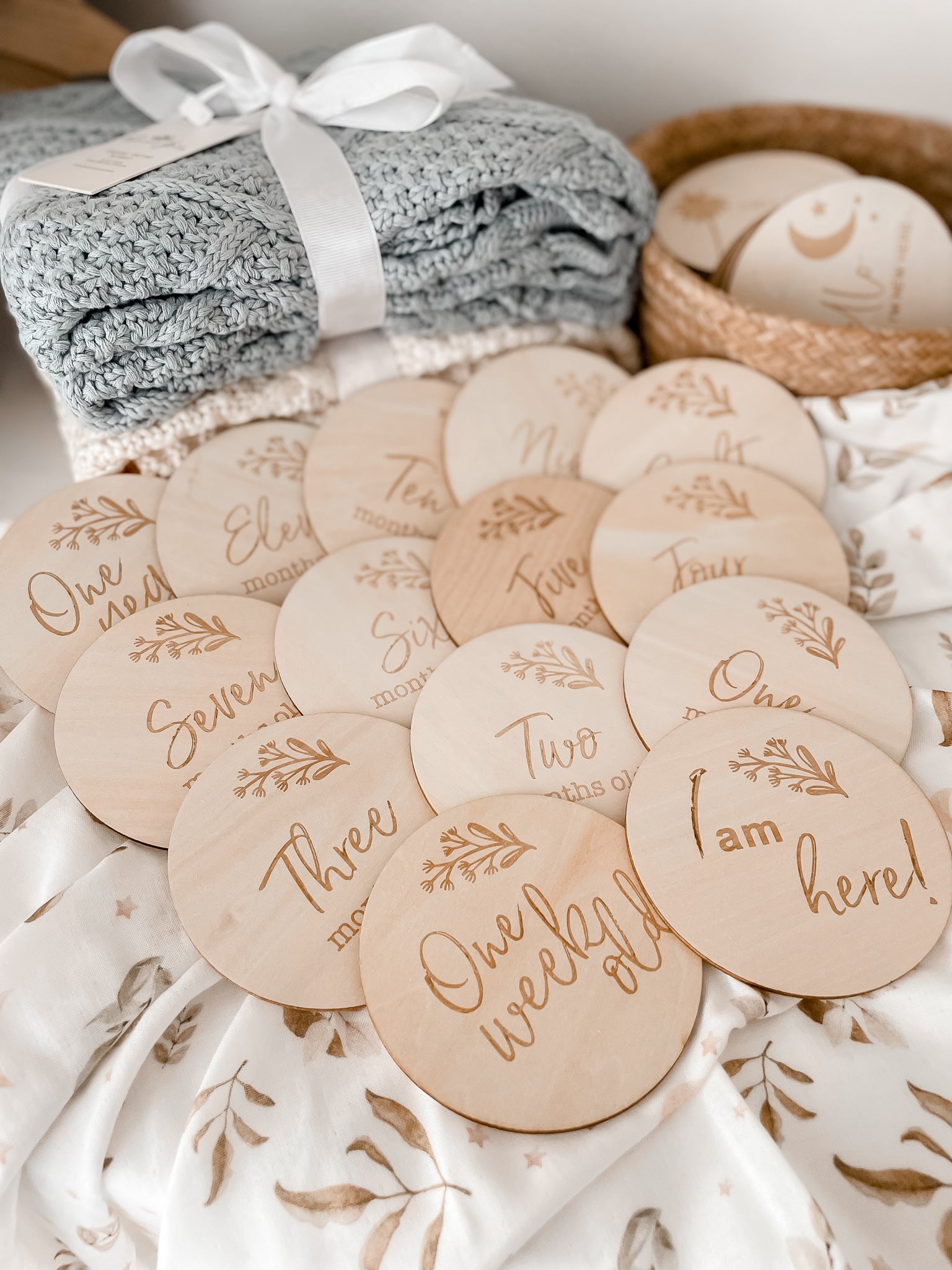 Whimsy Milestone Disk Set